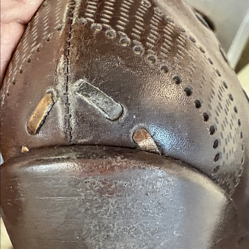 BCBGirls Dark Brown Stud-Embellished Pointed Leather Booties - Picture 10 of 10